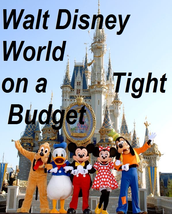 Walt Disney World on a Tight Budget Series